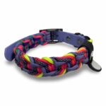 Obroża PIPPIN Biothane Rainbow (36 – 45cm)