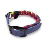 Obroża PIPPIN Biothane Rainbow (36 – 45cm)