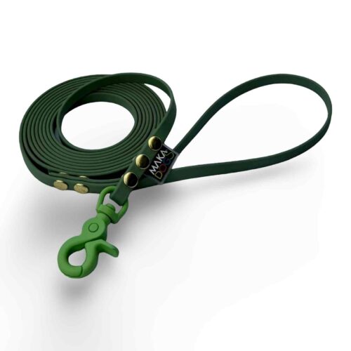 a green leash with a green silicone-lined snap hook
