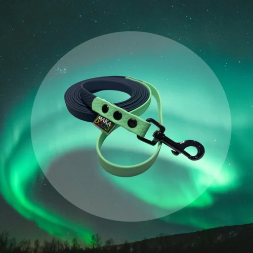 Aurora Aurora