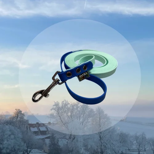 a leash for dog in pale blue colour Smycz Frosty Sky