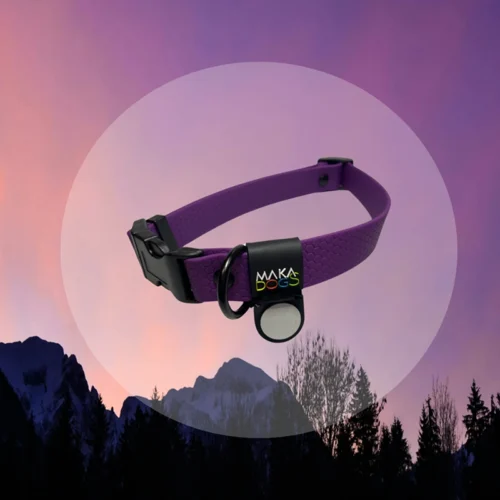 a purple dog collar with a circle on the side Obroża Twilight