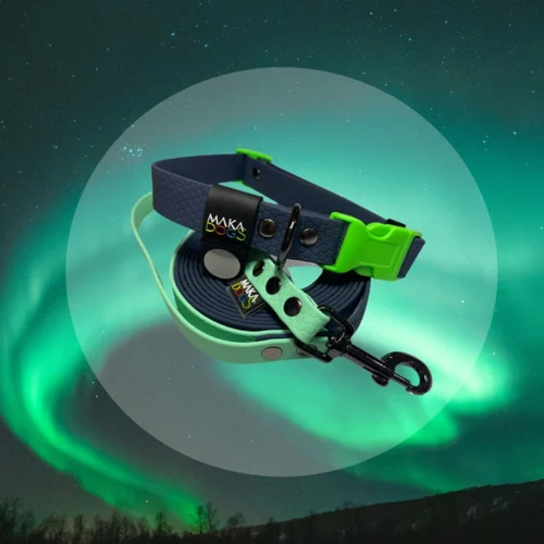 a dog leash in the sky Zestaw Aurora (smycz + obroża)