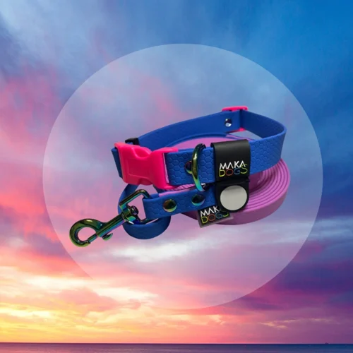 a dog leash and leash in the air Zestaw Sunset "Sky is the Limit"