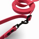 smycz hands-free hexane